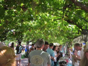 Lievmore Harvest ArborCrowd