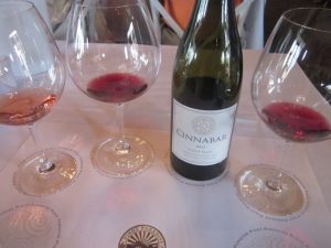 Pinot Noir Pinot Paradise